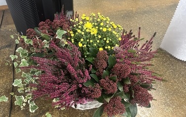 IMG_3693.jpeg