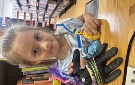 IMG_2906.jpeg