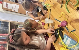 IMG_2887.jpeg