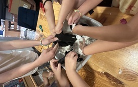 IMG_2859.jpeg