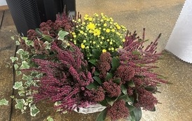 IMG_3693.jpeg